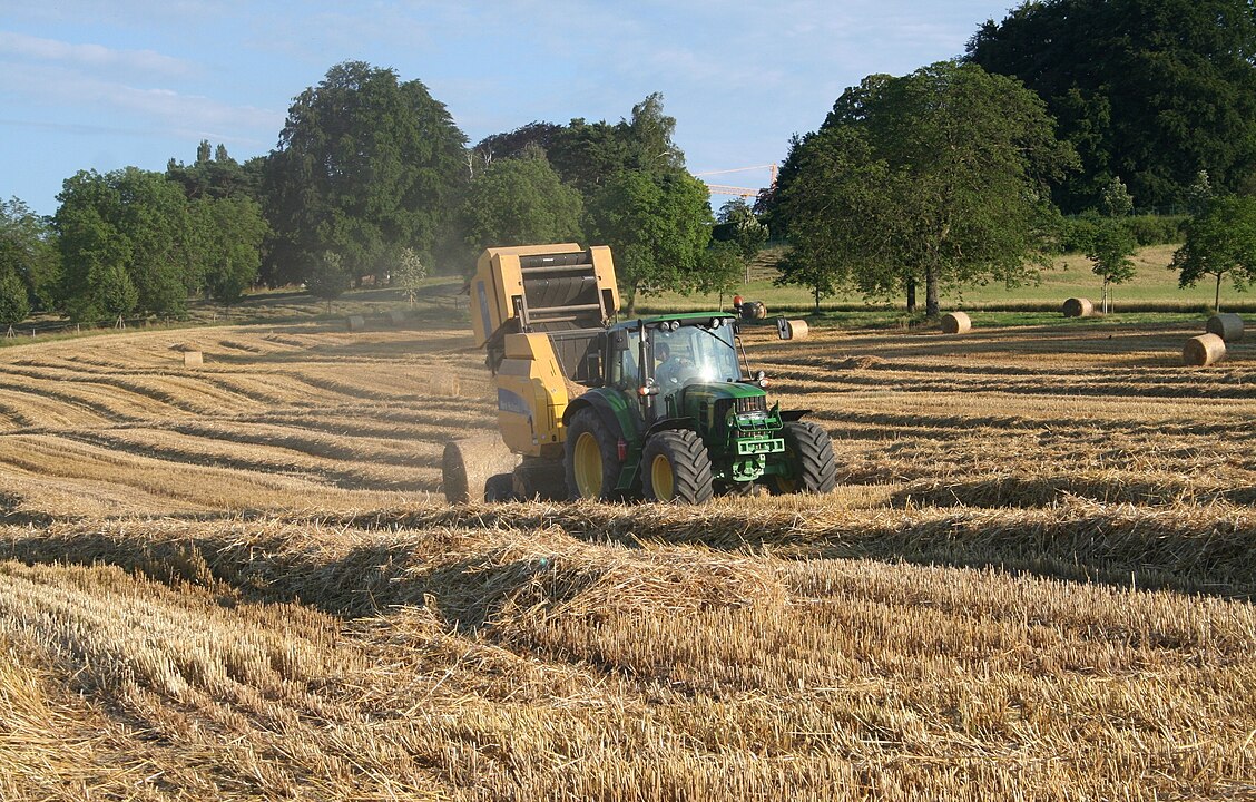 Tribune | agriculture : le bon grain et l’ivraie