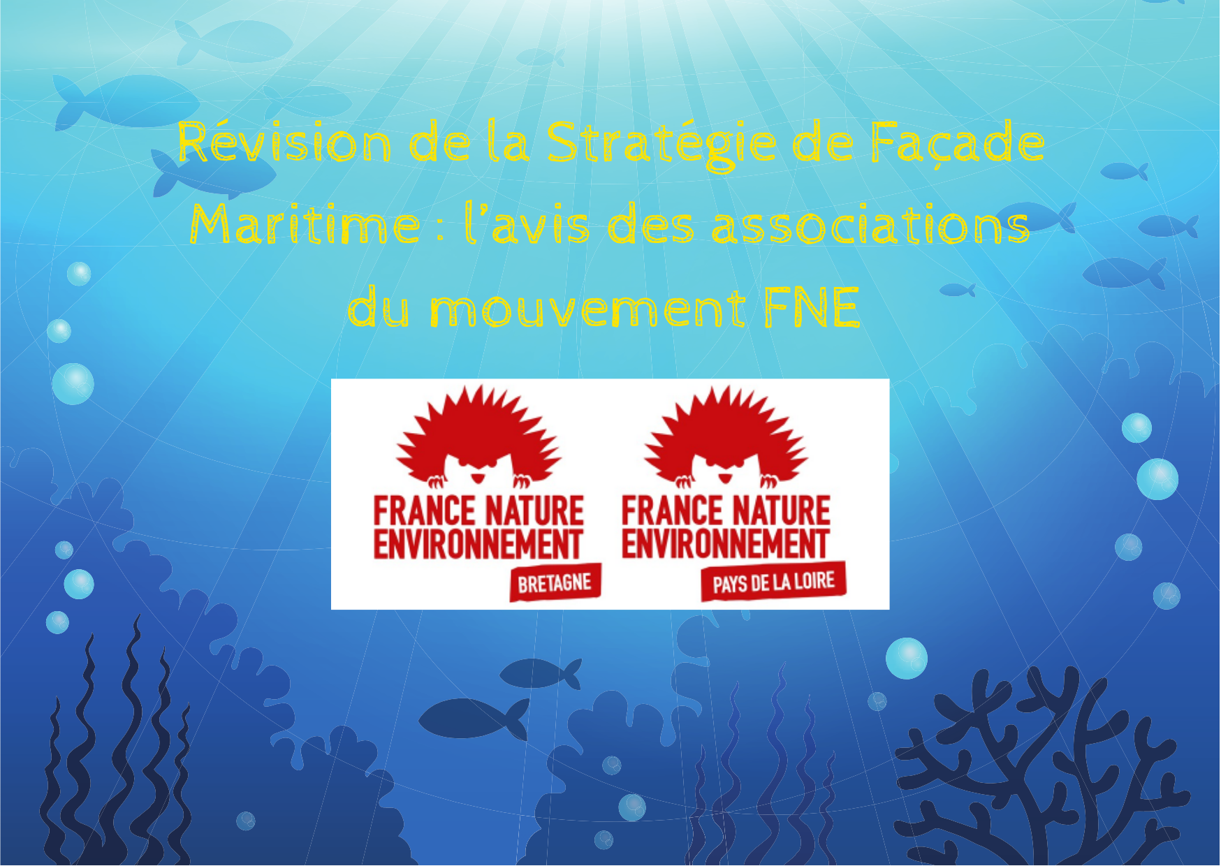 Révision des stratégies des façades maritimes : l'avis de notre réseau océan mer et littoral 