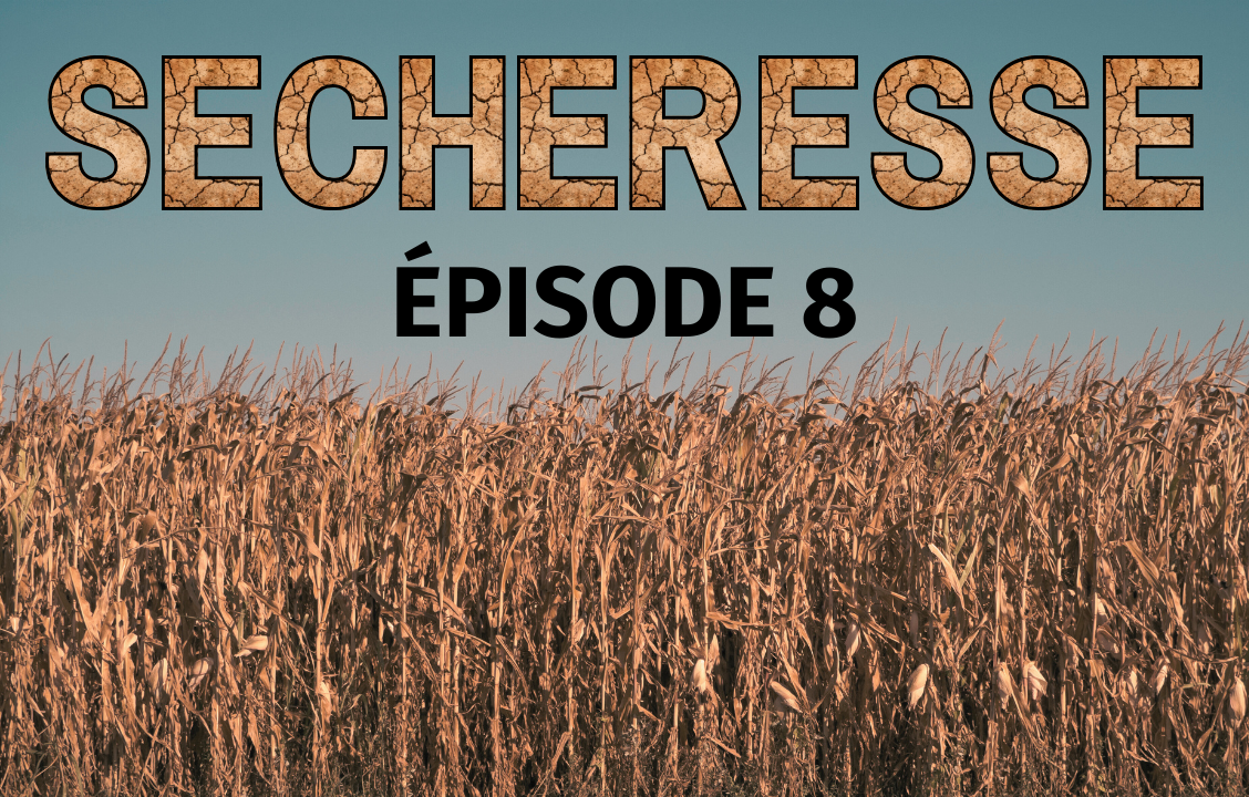 Sécheresse épisode 8 : où en sommes-nous ?