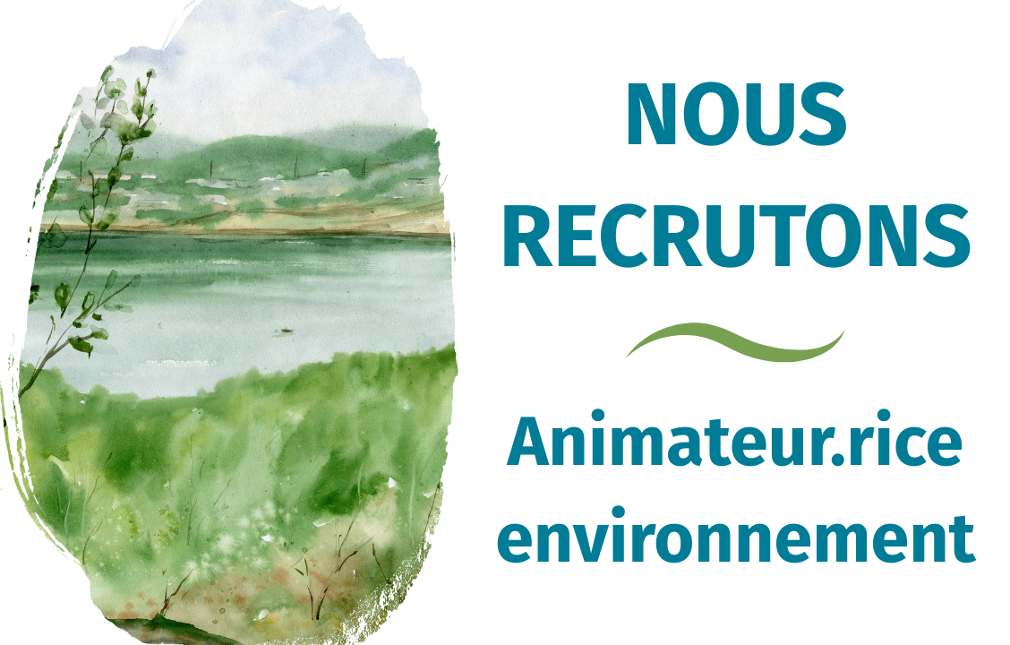 Nous recrutons | Animateur·rice environnement