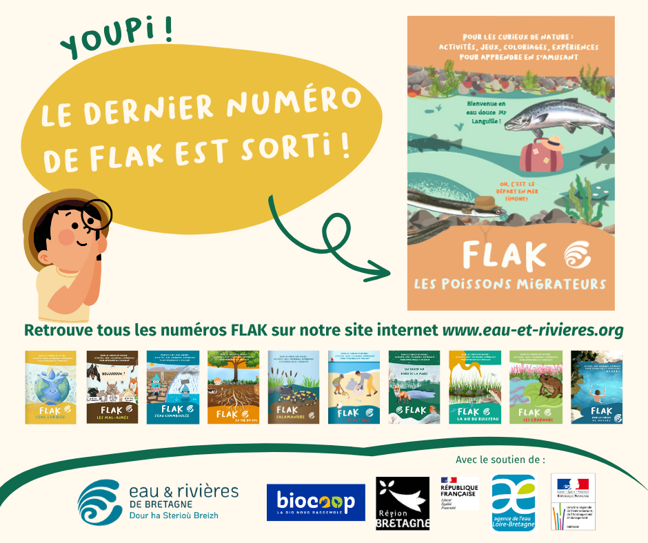 Flak | Notre cahier d'activités sur les poissons migrateurs