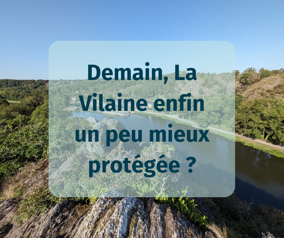 Après 3 ans d’un ambitieux travail collectif, la Vilaine bientôt mieux protégée ?