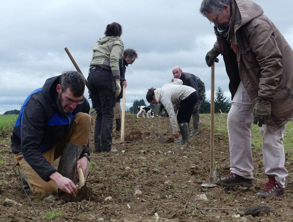 Crédin_chantier_participatif.JPG