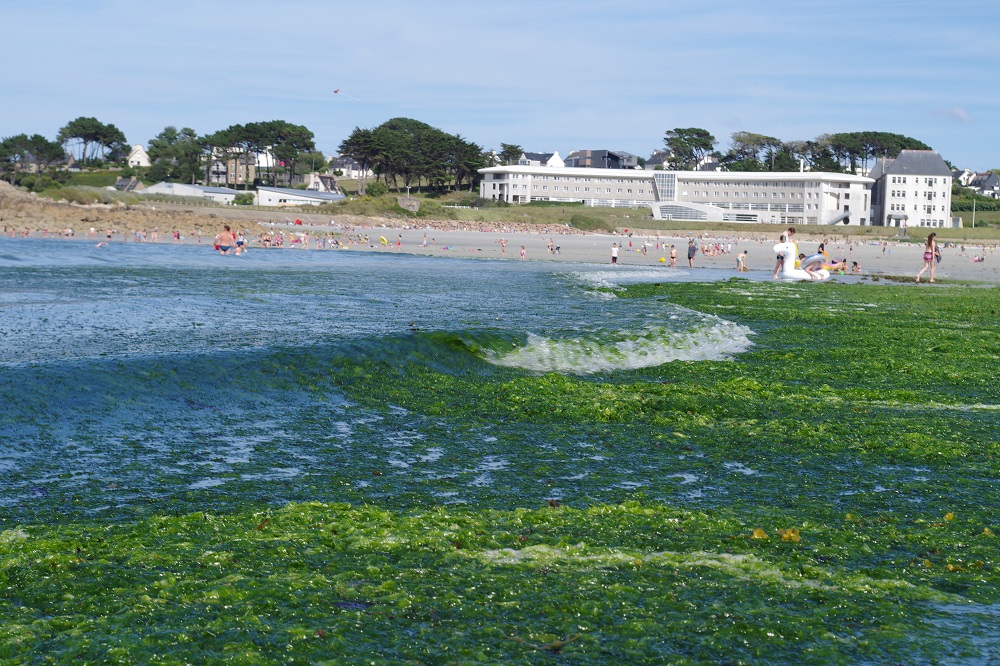 Un nouveau programme contre les Nitrates... qui ignore les algues vertes !? [07/08/2018]