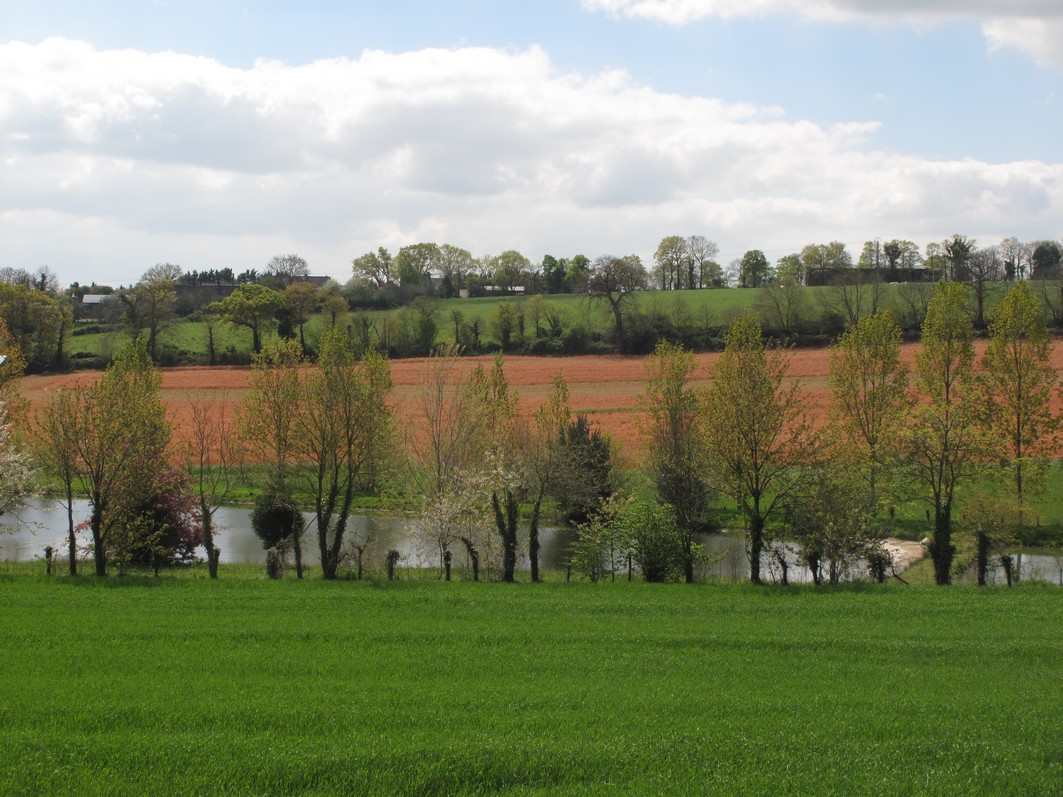 Pesticides | Le préfet de Loire-Atlantique condamné à mieux protéger l’eau