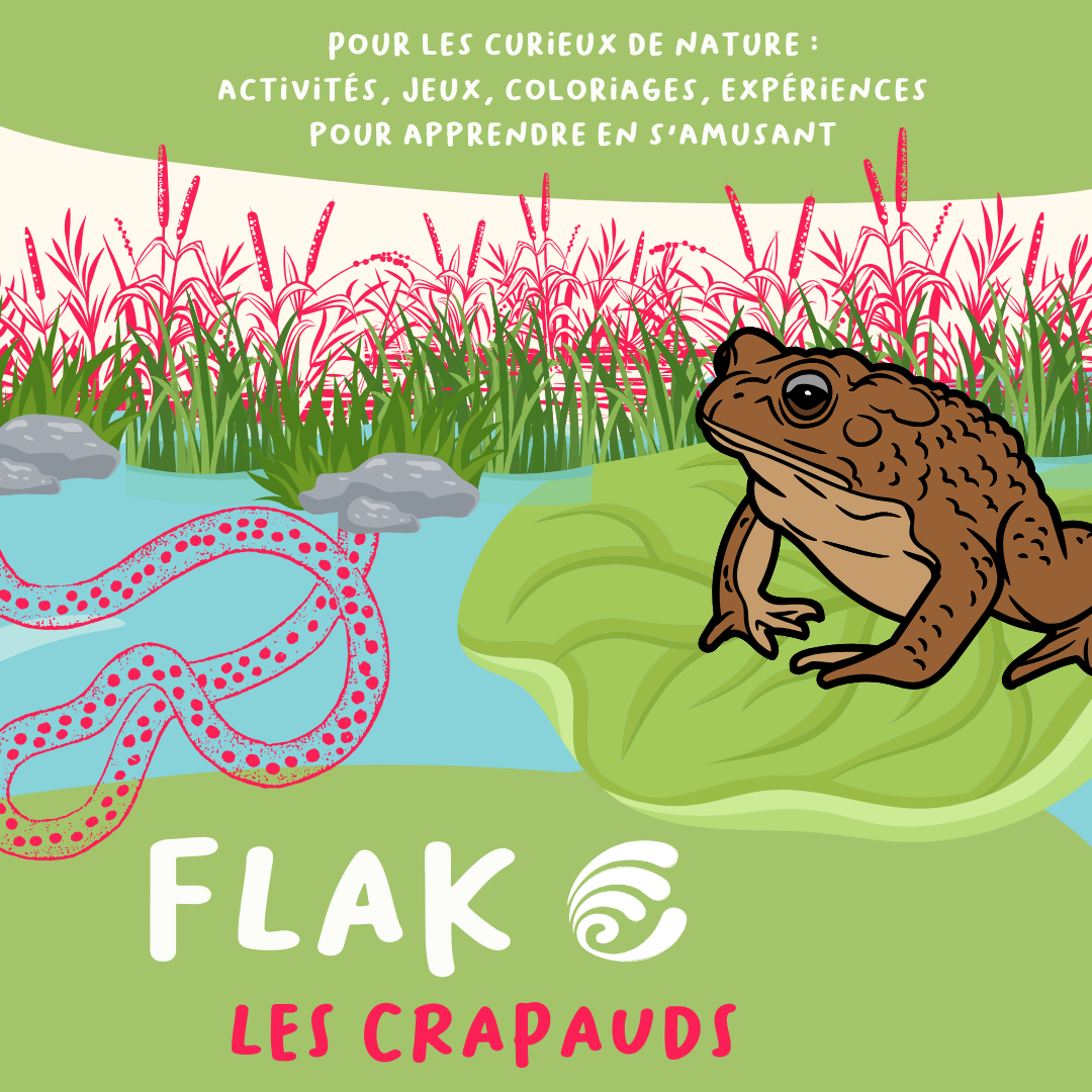 Flak | Notre cahier d'activités sur les crapauds