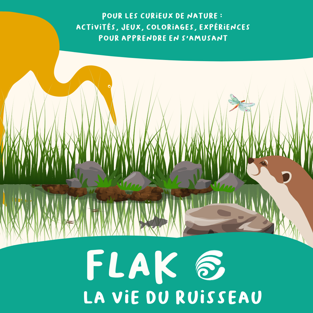 Flak | Notre cahier d'activités sur la vie du ruisseau