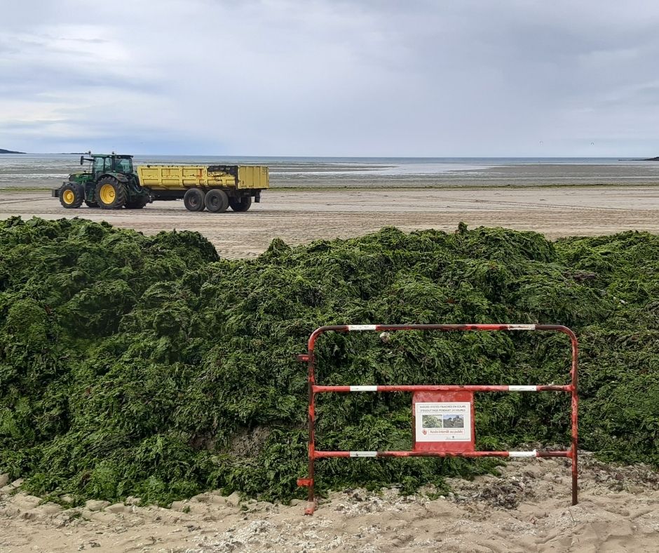 Vidéo | Mais que fait l’État contre les algues vertes ? 