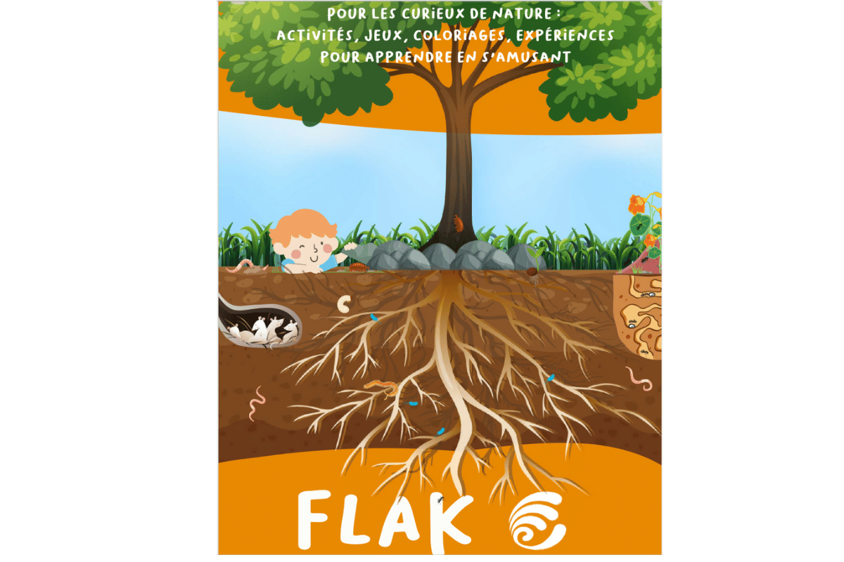 Flak | Notre cahier d'activités sur la vie du sol