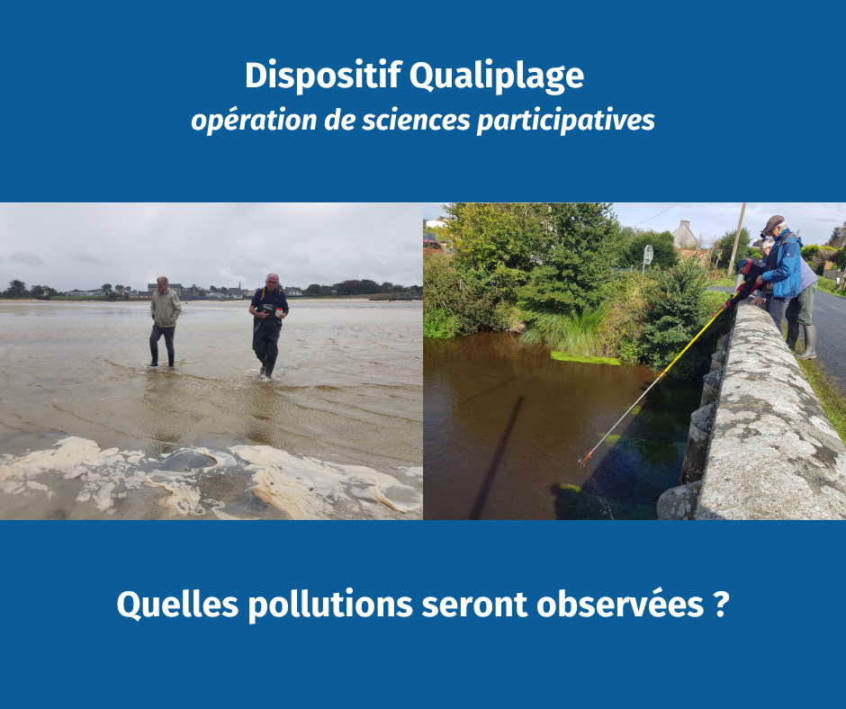 Qualiplage : les citoyens suivent la qualité de l'eau