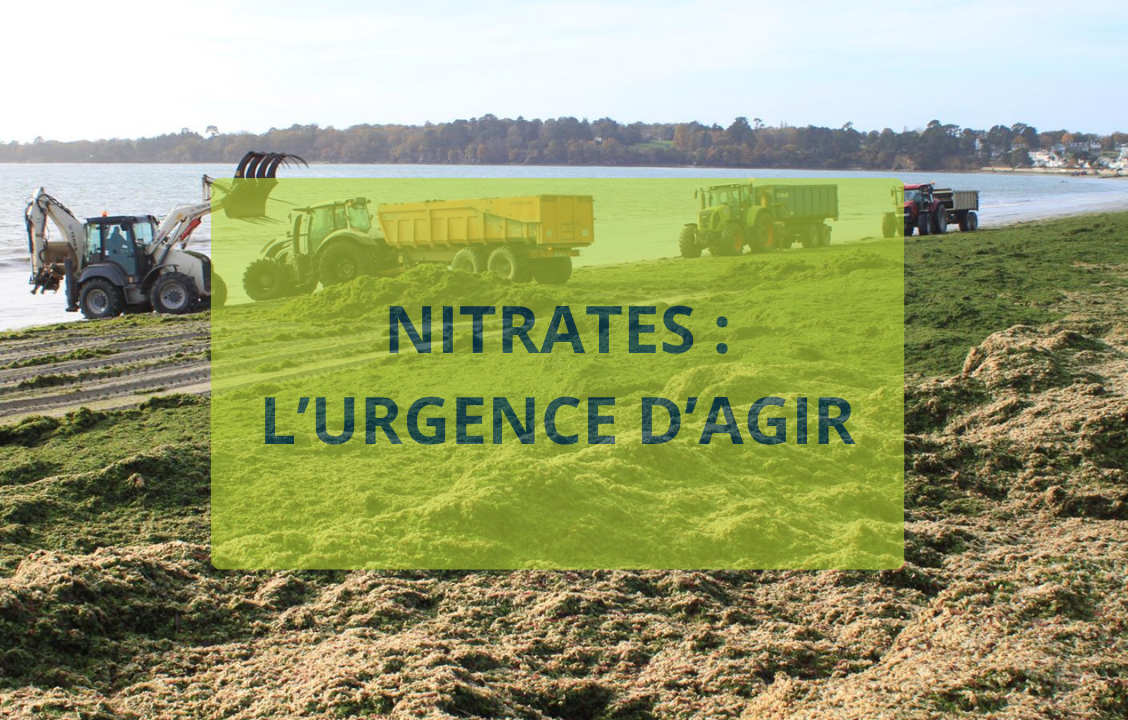 Nitrates, l'affaire du siècle bretonne : l’urgence d’agir