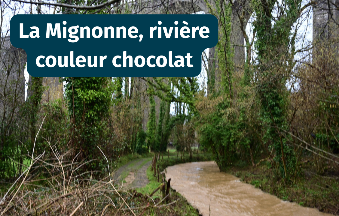 Encore une extension de porcherie inacceptable