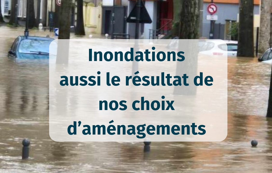 Inondations : pour les limiter, protégeons les milieux naturels