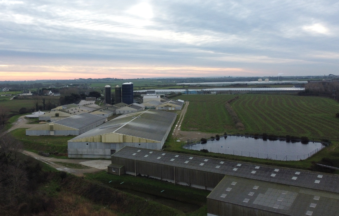La santé des baigneurs mise en danger, l’élevage industriel dans le viseur