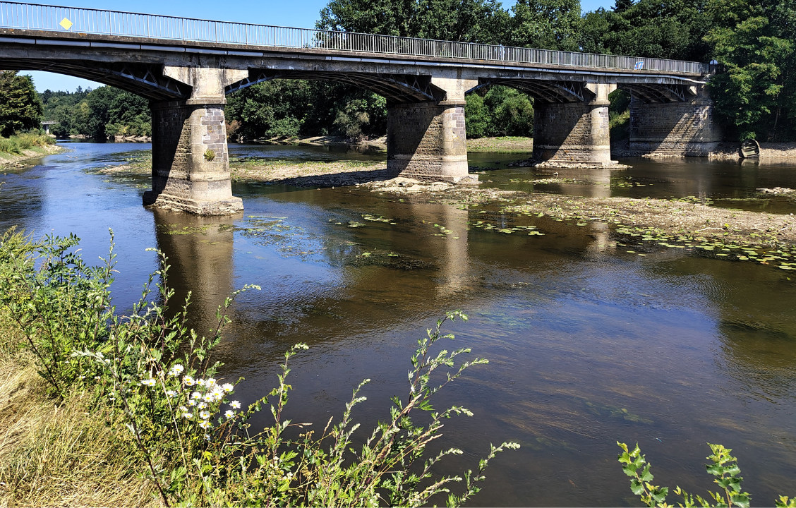 Nos rivières ont déjà chaud, quelles perspectives pour le 15 juillet ?