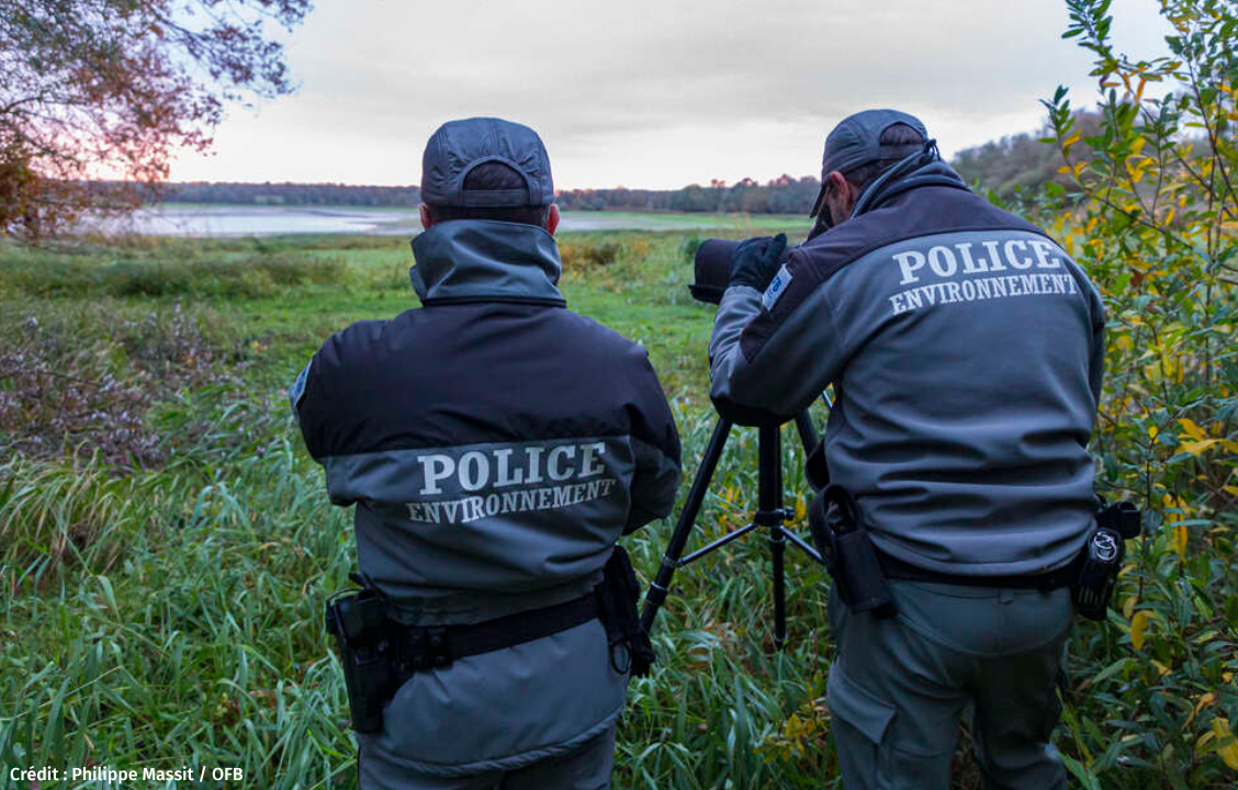 OFB, l’indispensable police pour la nature