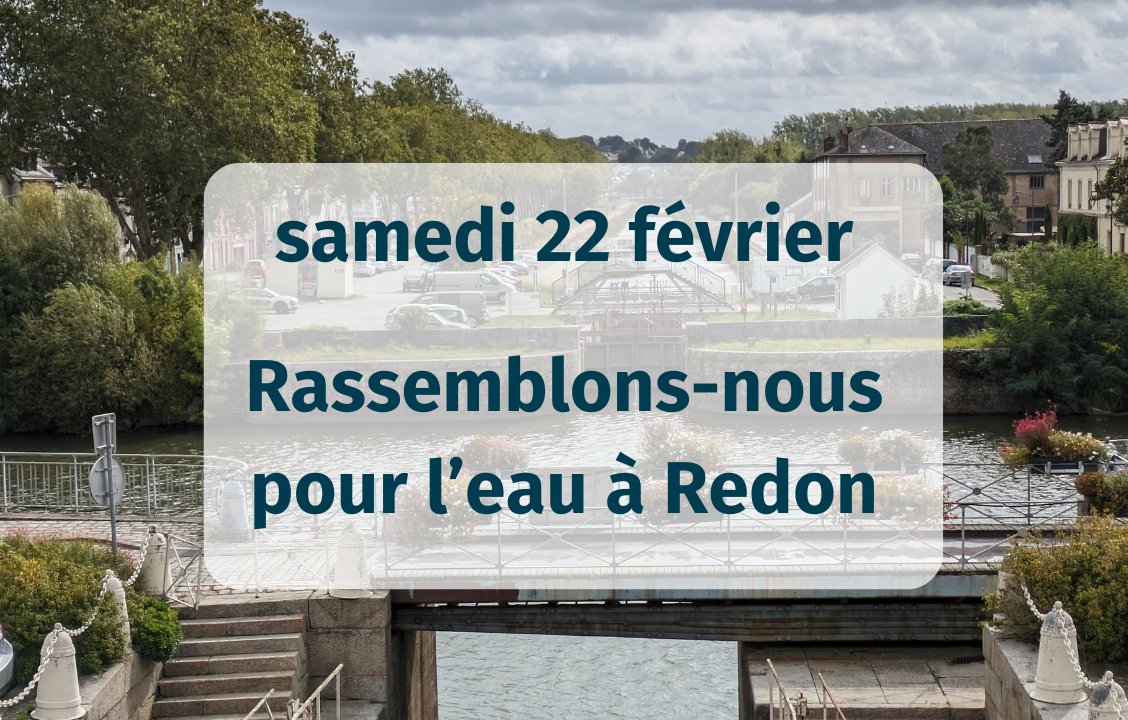 Dans l’eau : des poissons, pas des poisons !