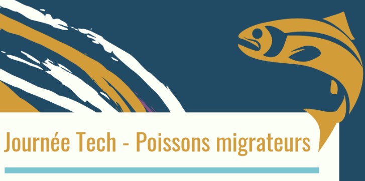 Journée technique: Les poissons migrateurs de Bretagne