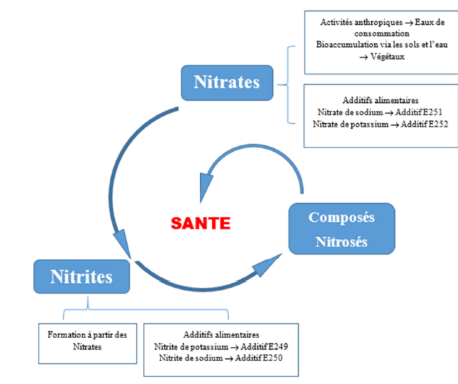 Nitrates | L'ANSES invite à la maîtrise dans l'eau et les sols
