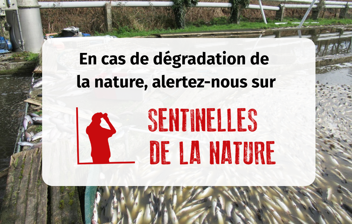 Sentinelles de la Nature, mode d'emploi