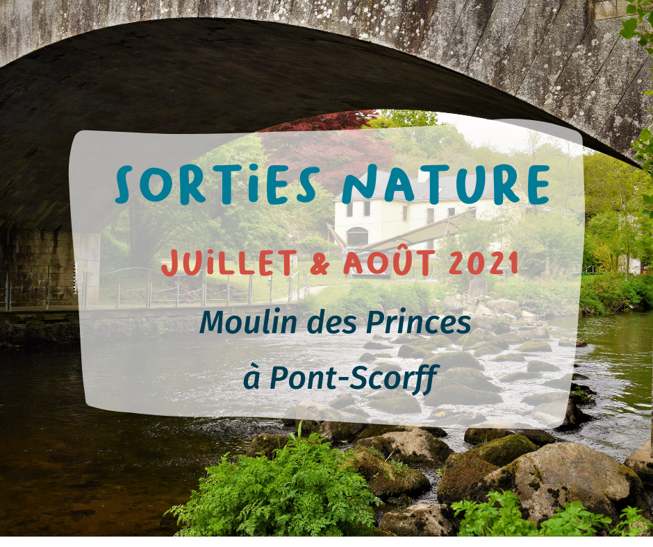 Un été à Pont-Scorff (56) : les sorties nature 