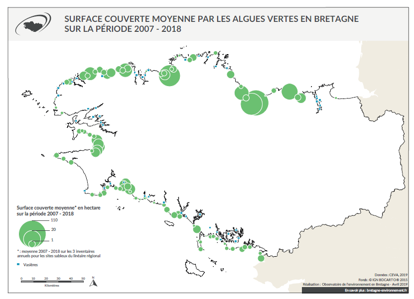 Les algues vertes  Agence régionale de santé Bretagne