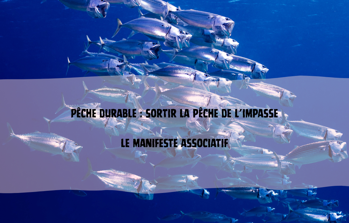 Avenir de la pêche | notre manifeste pour une pêche durable