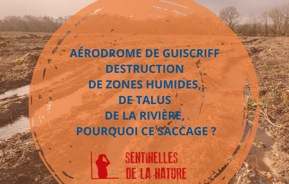 Saccage à l’aérodrome de Guiscriff, Eau & Rivières dépose plainte ! 