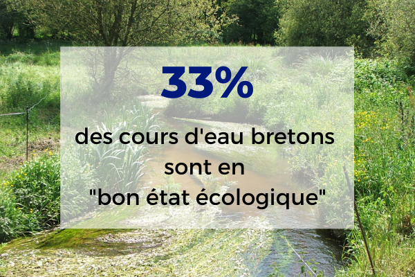 La qualité des rivières bretonnes stagne toujours