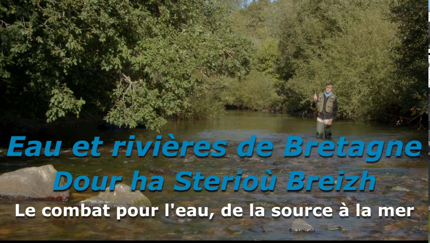 Vidéo | 50 ans de combat pour l'eau, de la source à la mer