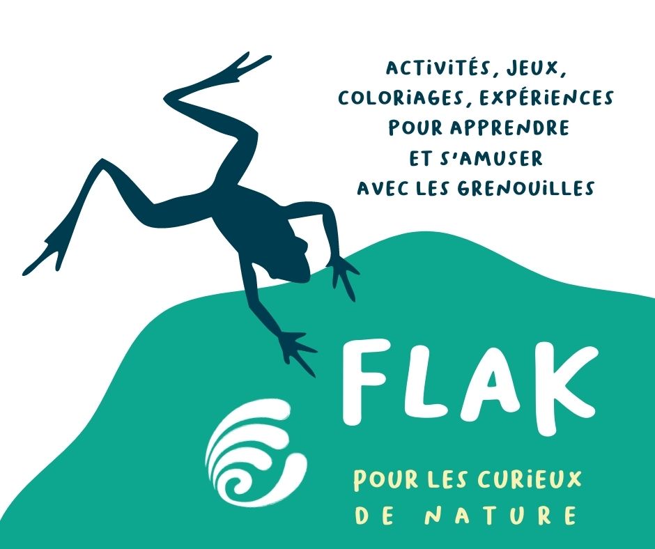 Flak, un cahier d'activités pour découvrir la nature
