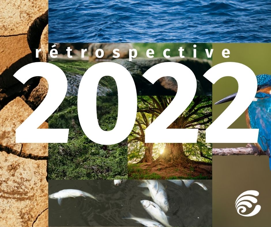 Rétro | L'eau et les rivières en 2022
