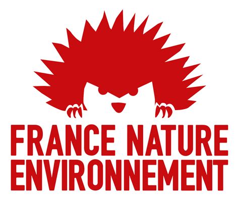 logo FNE.jpg